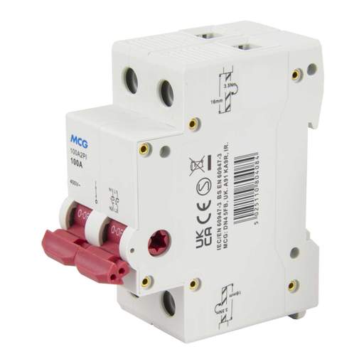 MCG 100A DP Switch Disconnector Isolator
