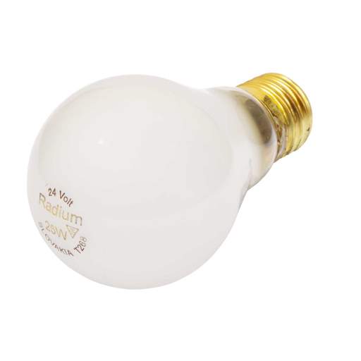 Fusion 25W 24V ES GLS Lamp Pearl