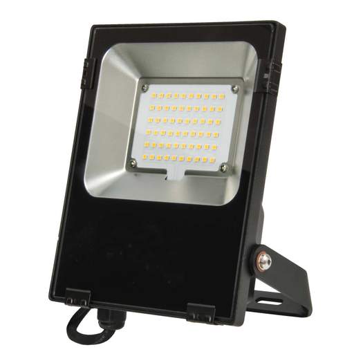 Fusion Guardian 30W LED IP65 Floodlight Black 4000K