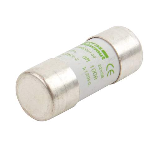 Lawson 100A 22mm x 58mm aM Motor Fuse