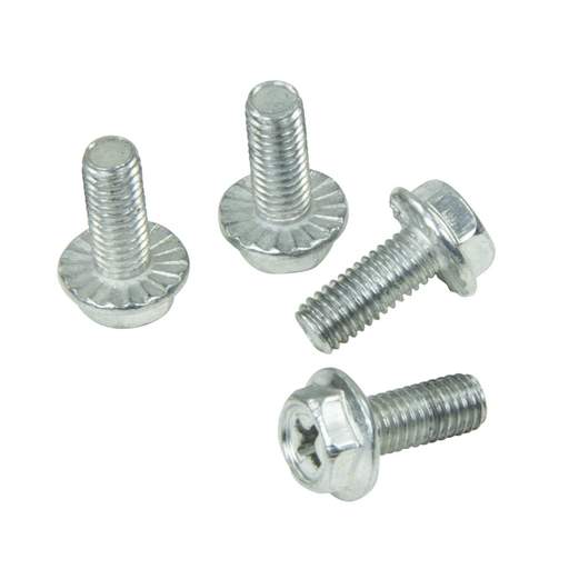 MCG TPN Spare Door Screws x 4