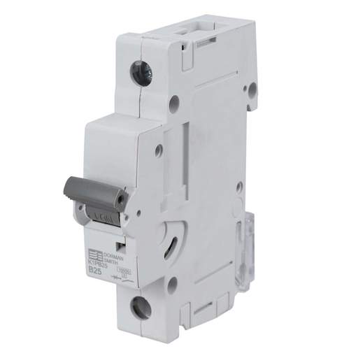 Dorman Smith 25A Single Pole 10kA B Curve MCB