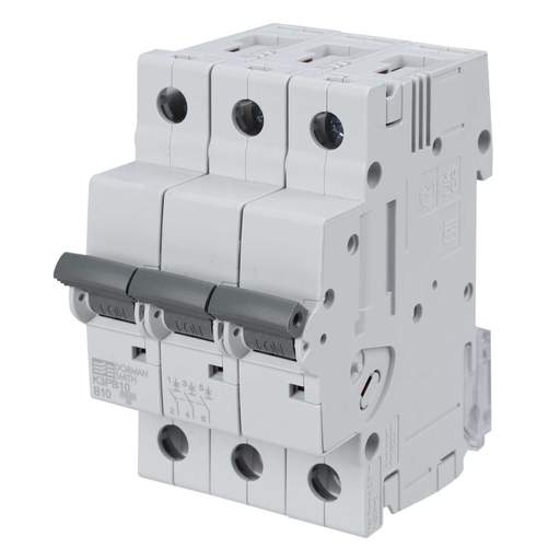 Dorman Smith 10A Triple Pole 10kA B Curve MCB