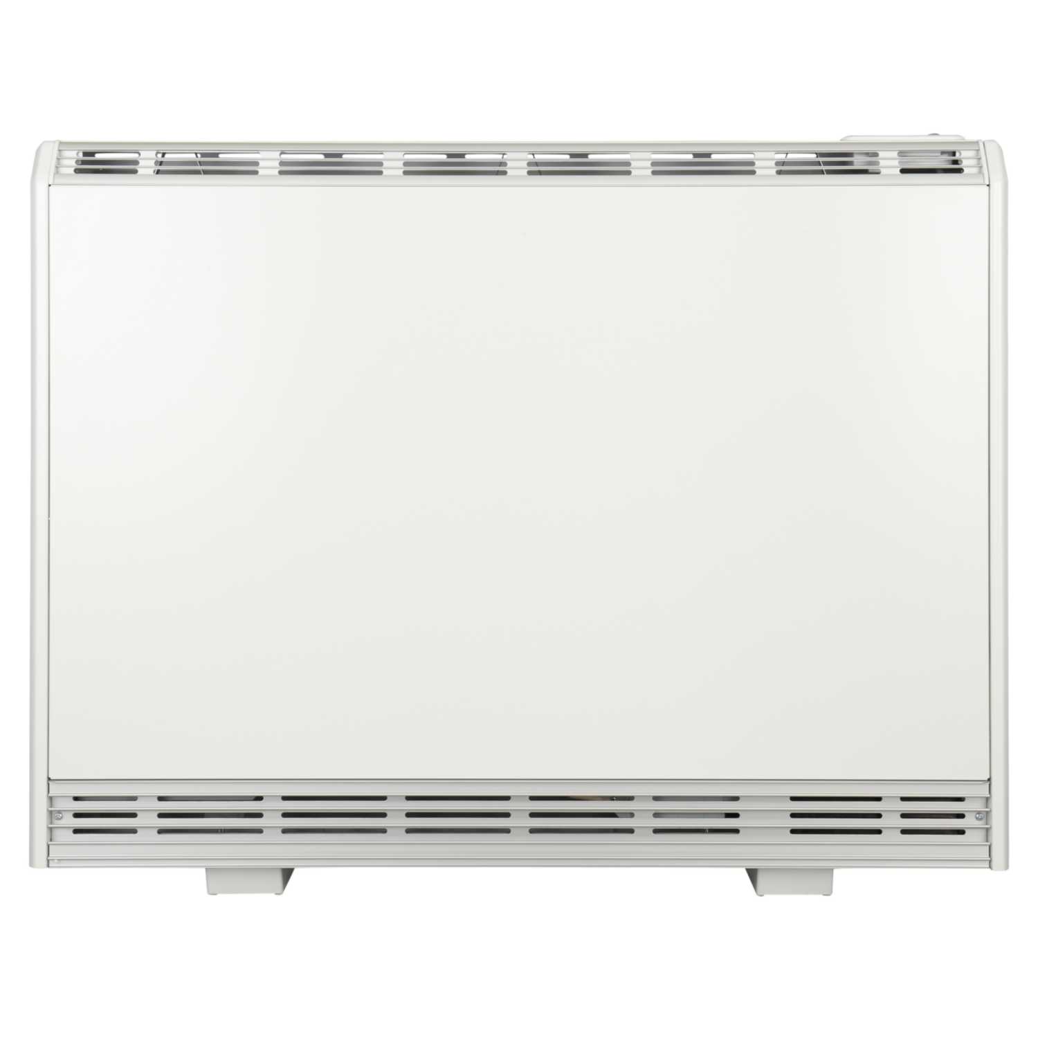 Heatstore 1kW Dynamic Intelistore Storage Heater (HSDS100) CEF