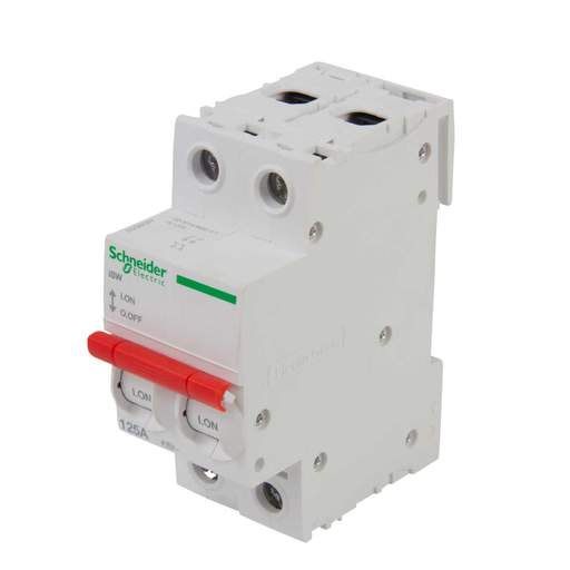 Schneider Acti9 125A Double Pole Switch Disconnector