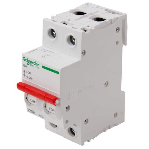 Schneider Square D IKQ 125A DP Single Phase Type A Board Switch Disconnector