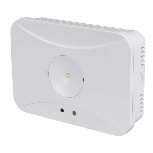 1W LED Surface Mounted Emergency Downlight with Self Test