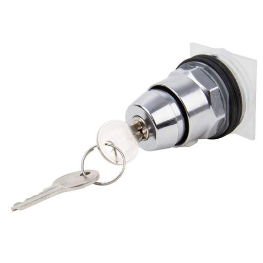 Schneider Harmony 9001 2 position Stayput Keyswitch Ronis 455