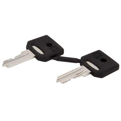 Schneider Harmony Ronis 421E Spare Keys (Set of 2)