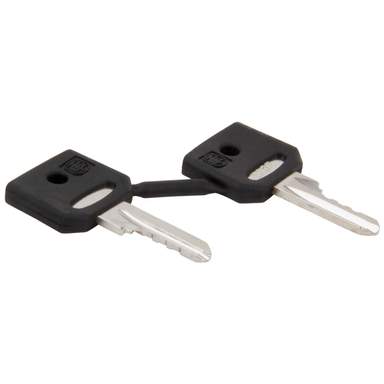 Key 520e Schneider Telemecanique Ronis 520E Spare Keys (Set of 2) (ZBG520E) | CEF